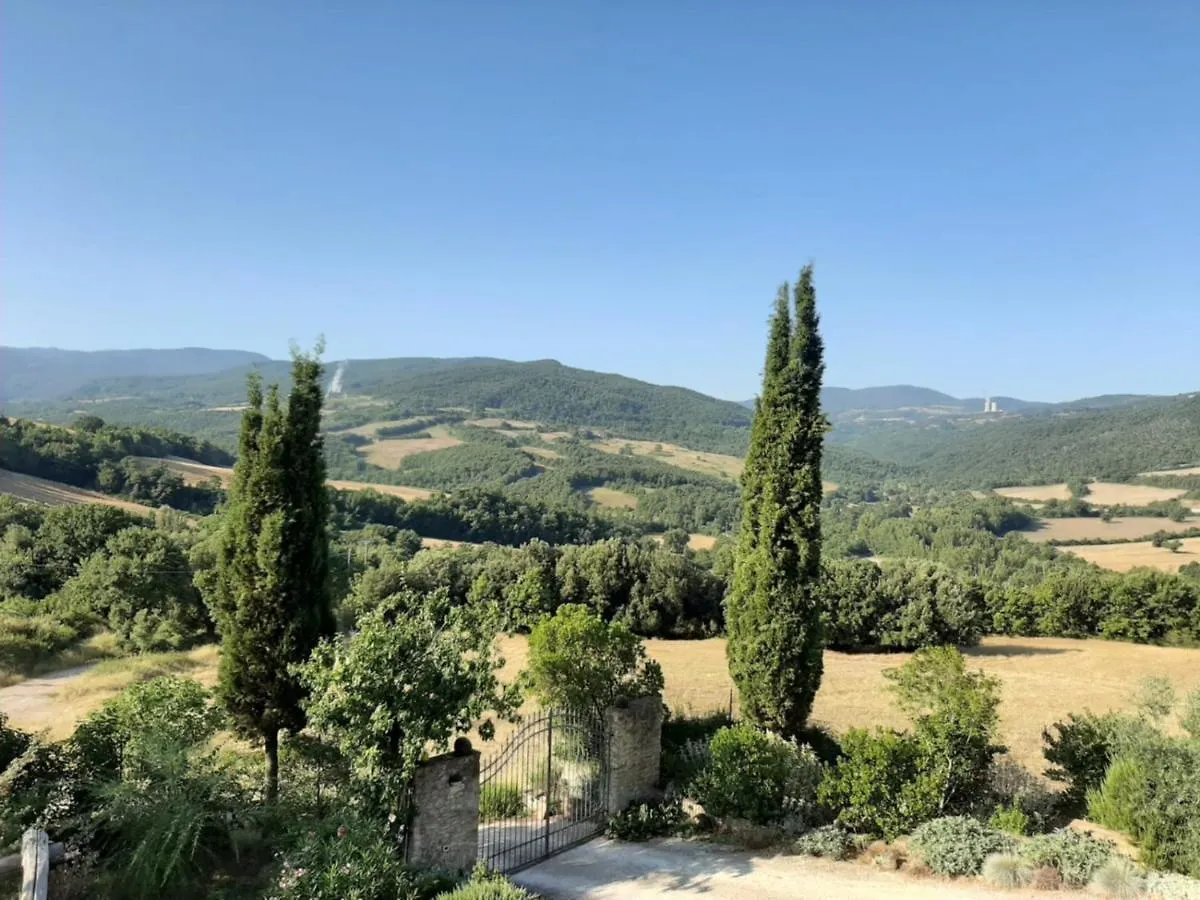 Pergola At Le Pietraie A Cottage With Many Flowers Montecastelli Pisano