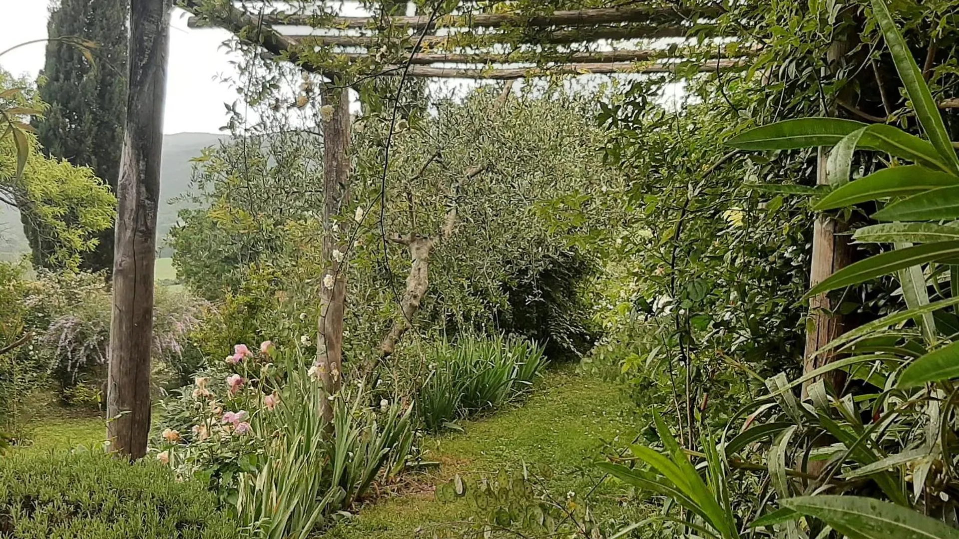 Apartment Pergola At Le Pietraie A Cottage With Many Flowers Montecastelli Pisano