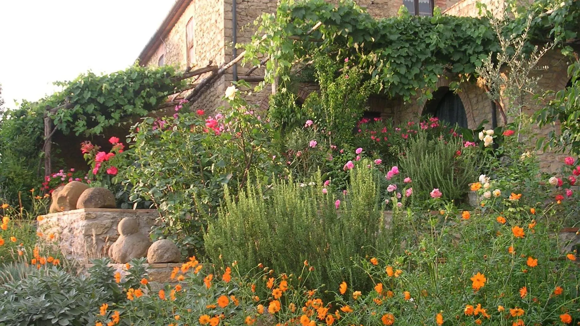 Apartment Pergola At Le Pietraie A Cottage With Many Flowers Montecastelli Pisano