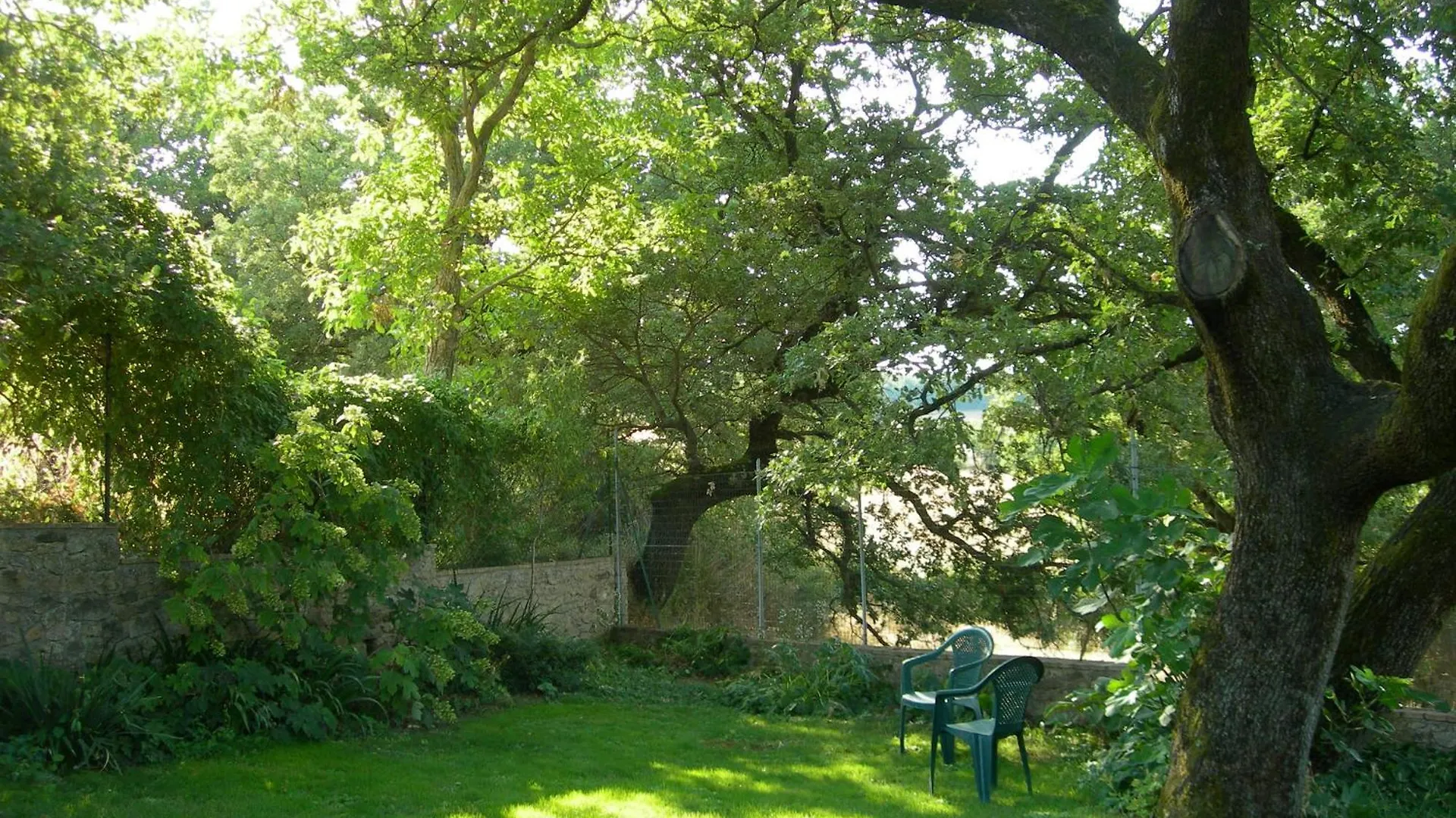 Pergola At Le Pietraie A Cottage With Many Flowers Montecastelli Pisano